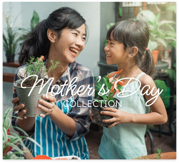 Mother's Day Plants 2025 - Perfect Gifts for Mom at Plant.Shop