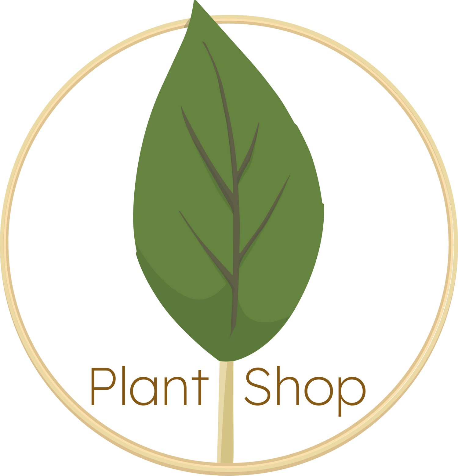 Our Products